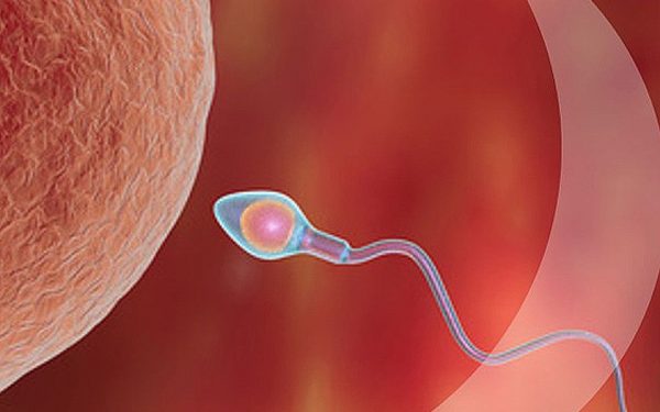 fertility-960